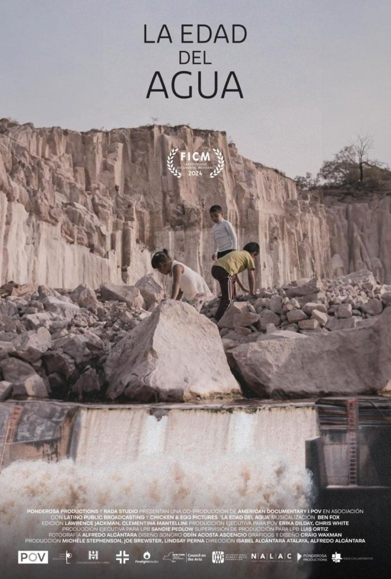 Poster of The Age of Water