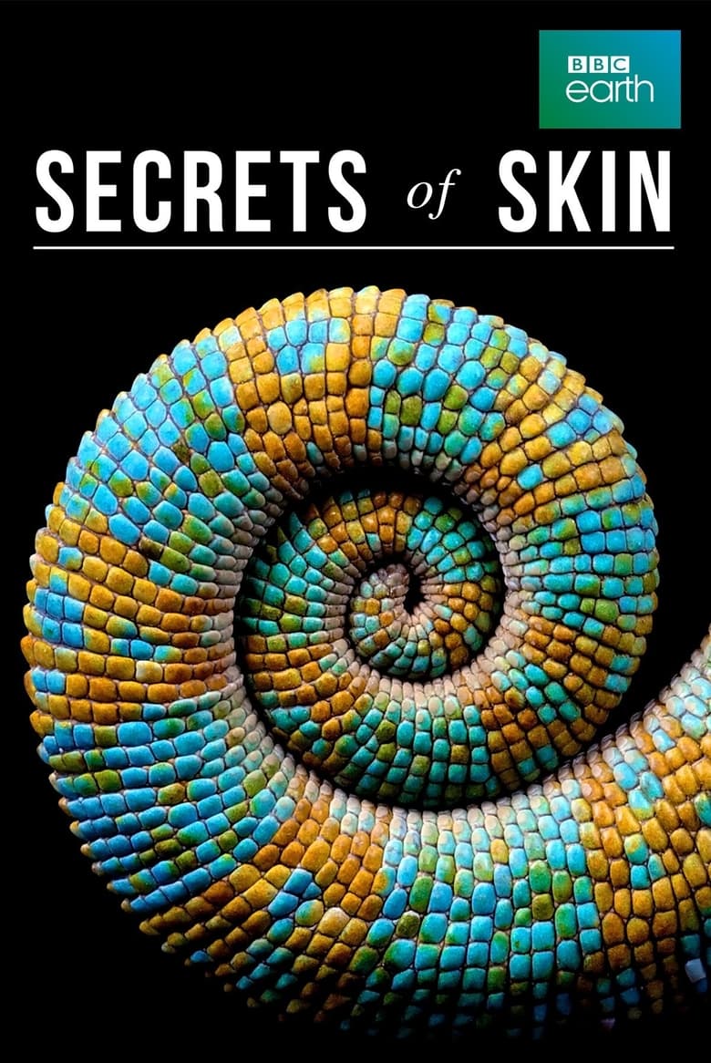 Poster of Secrets of Skin