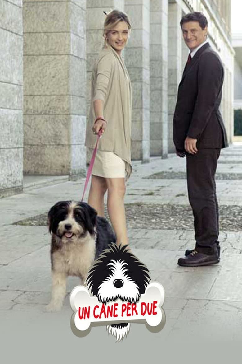 Poster of Un cane per due