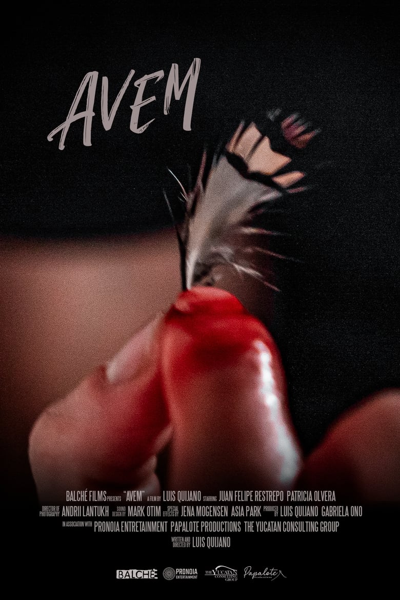 Poster of Avem