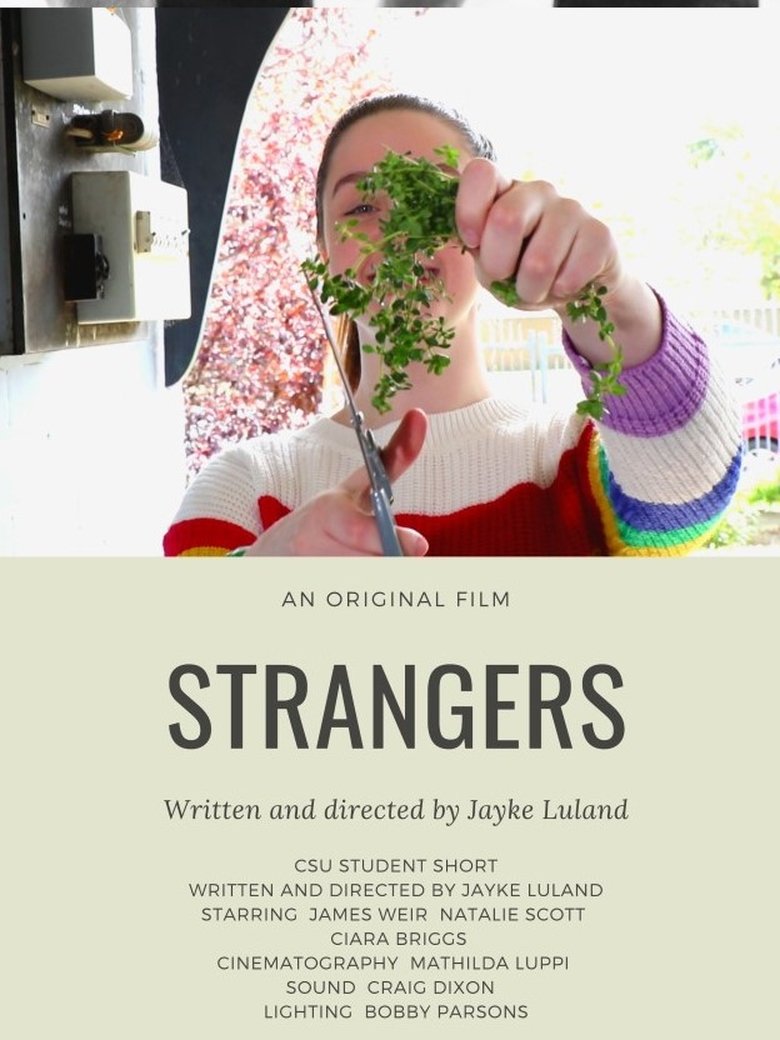 Poster of Strangers