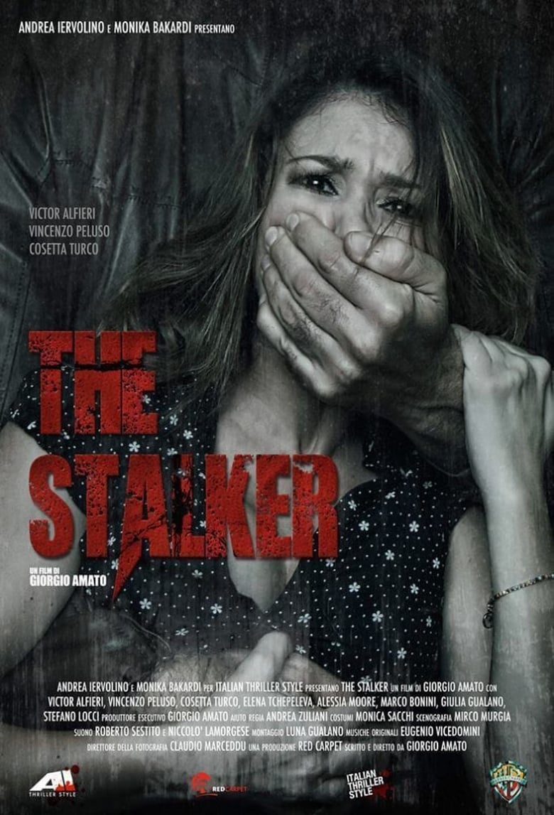 Poster of The Stalker