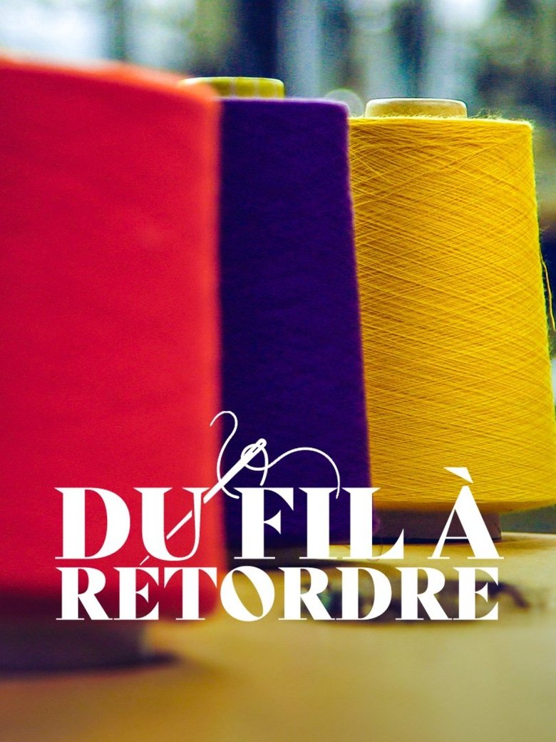 Poster of Du fil à retordre