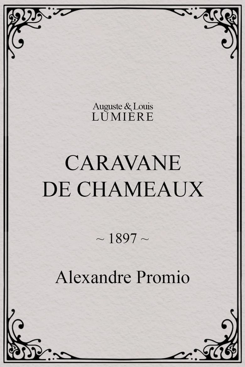 Poster of Caravane de chameaux