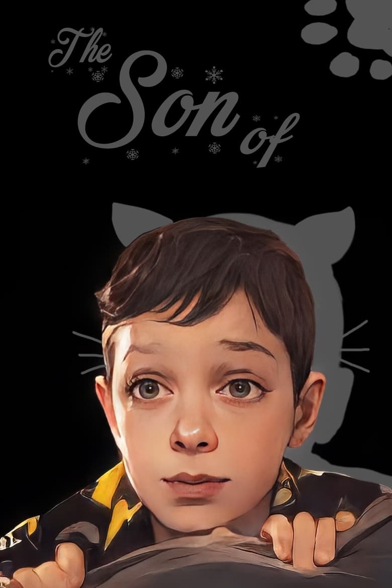 Poster of The Son Of