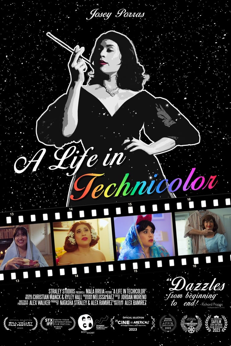 Poster of A Life in Technicolor