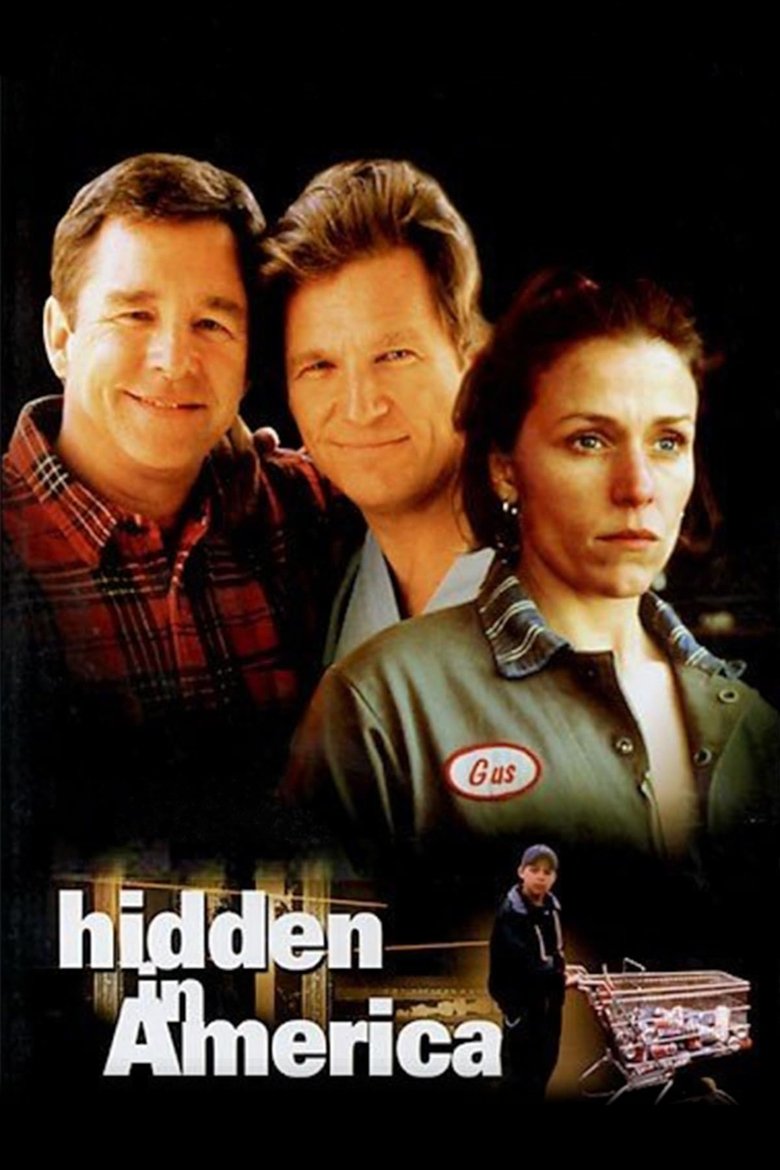 Poster of Hidden in America