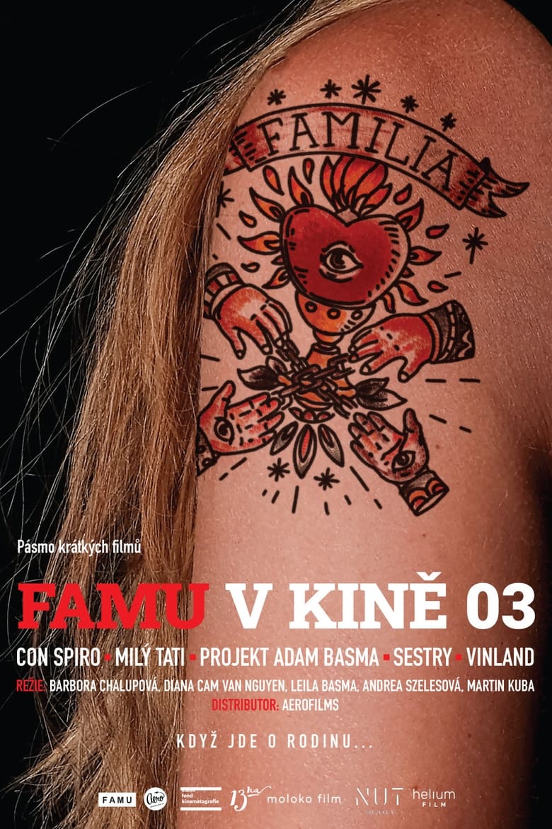 Poster of FAMU v kině 03