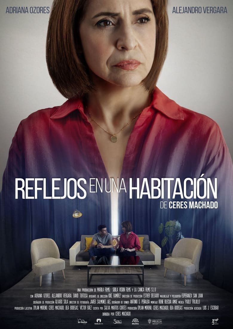 Poster of Reflejos en una habitación