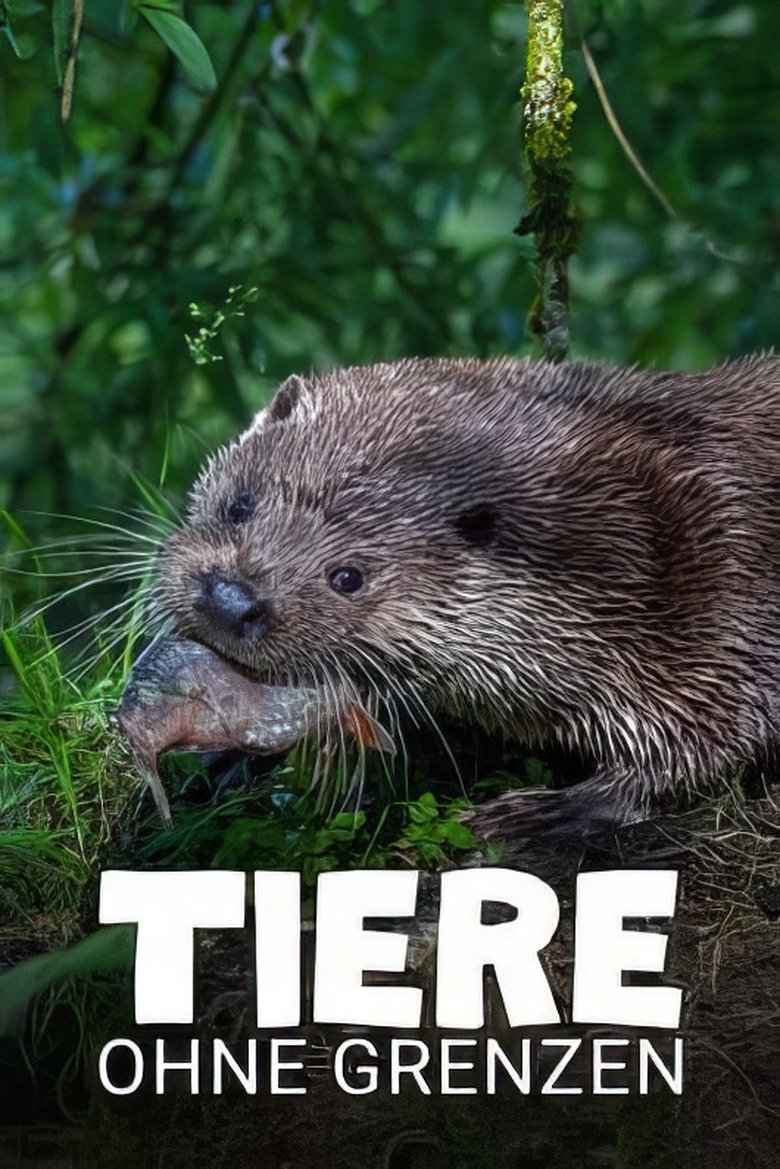Poster of Tiere ohne Grenzen