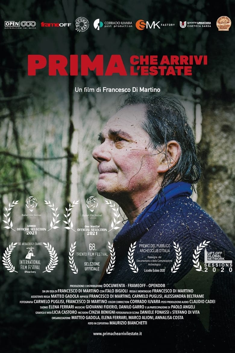 Poster of Prima che arrivi l'estate