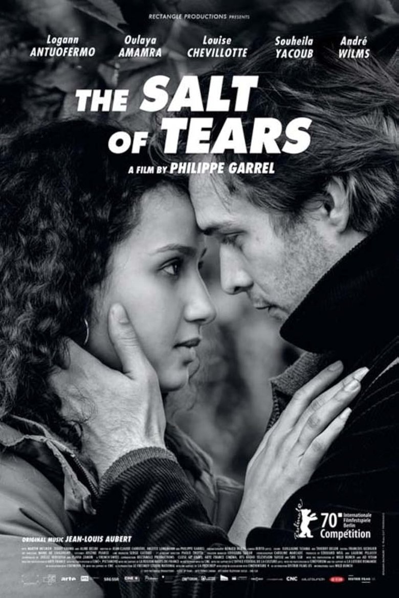 Poster of The Salt of Tears