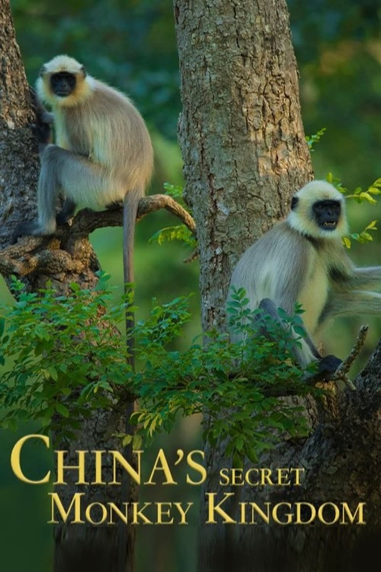 Poster of China's Secret Monkey Kingdom