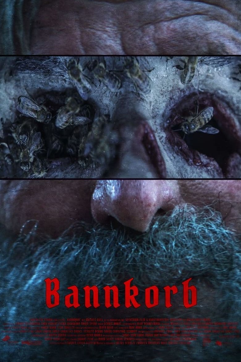 Poster of Bannkorb