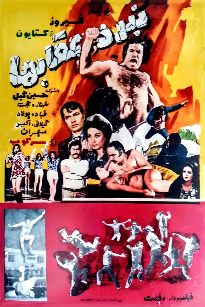 Poster of Nabard-e oghab-ha