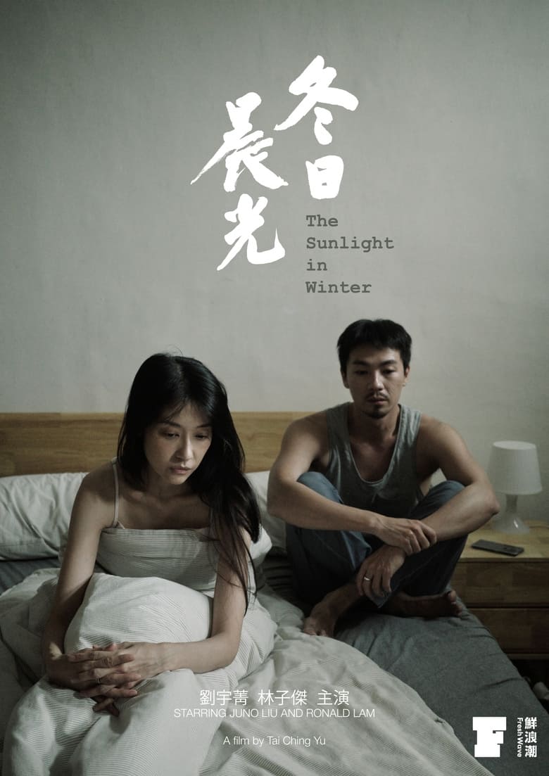 Poster of The Sunlight in Winter