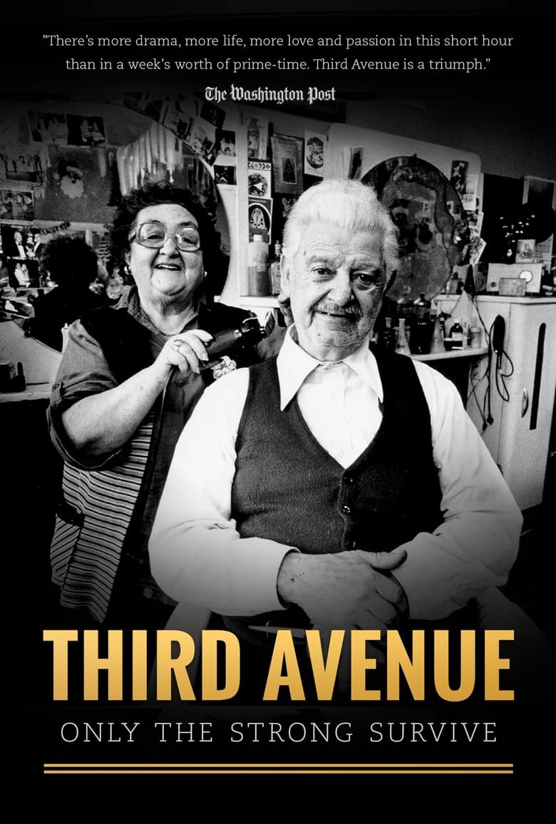 Poster of Third Avenue: Only the Strong Survive