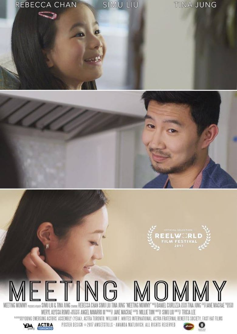 Poster of Meeting Mommy