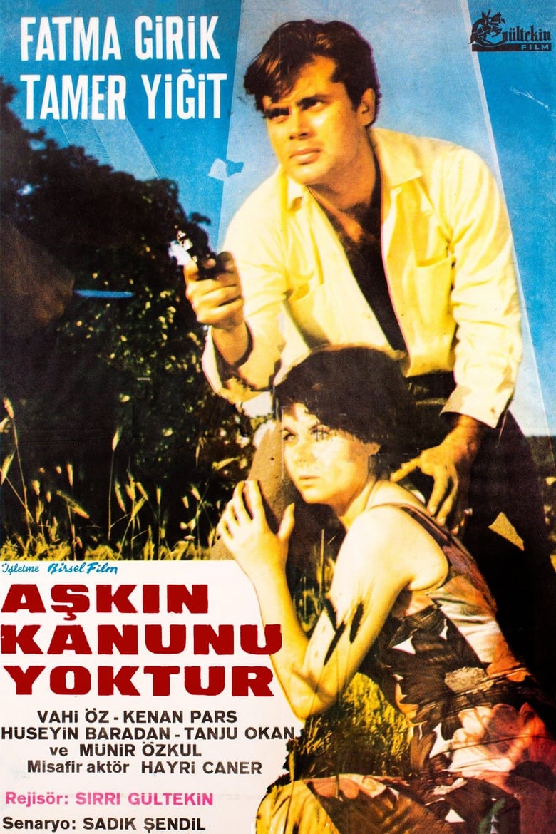 Poster of Aşkın Kanunu