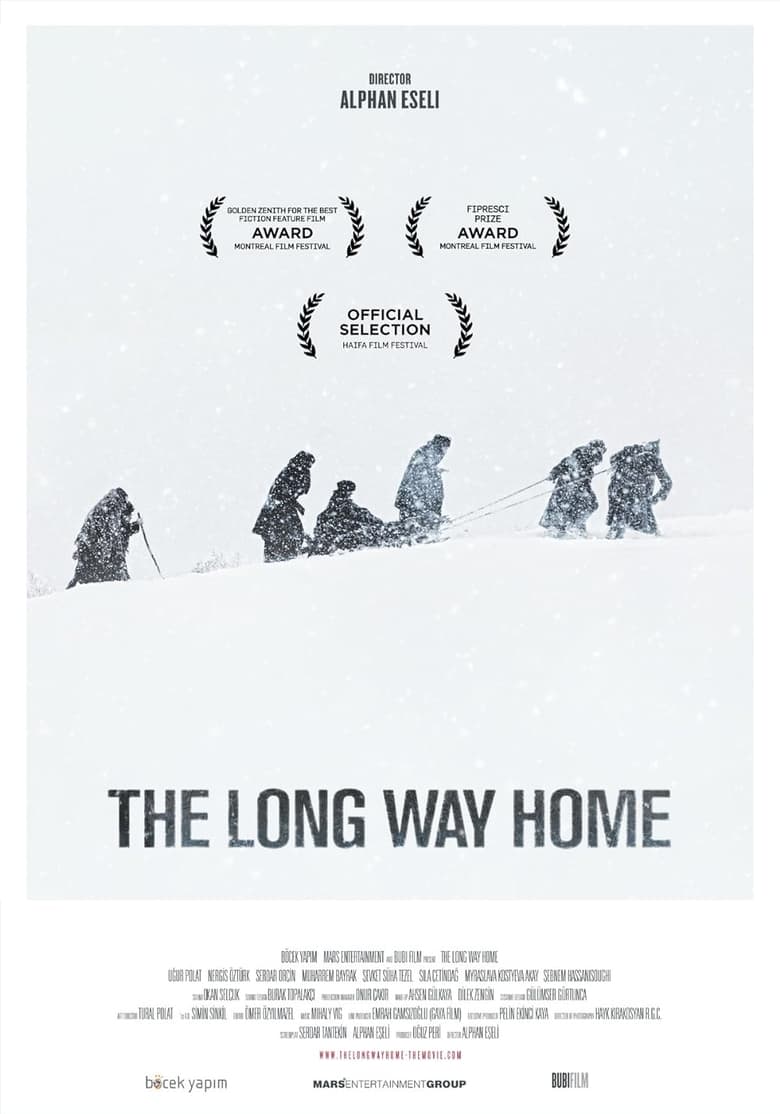 Poster of The Long Way Home