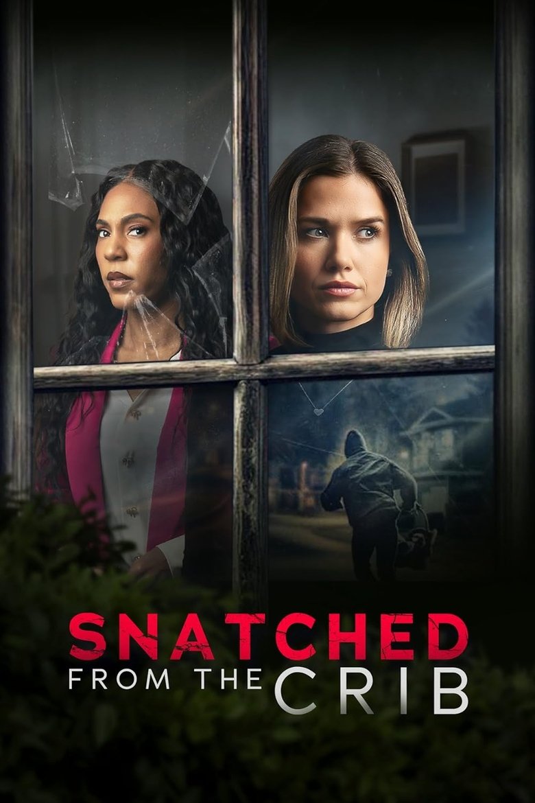 Poster of Snatched From The Crib