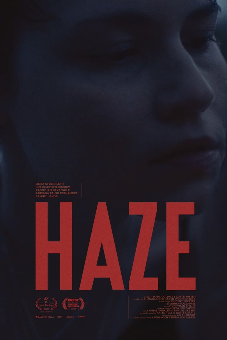 Poster of HAZE