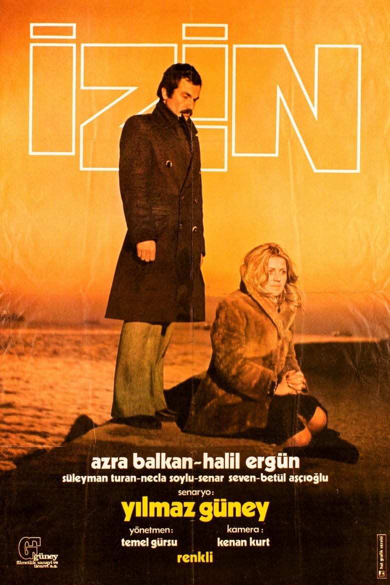 Poster of İzin