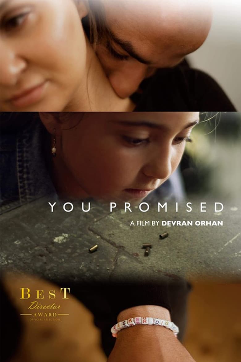 Poster of You Promised