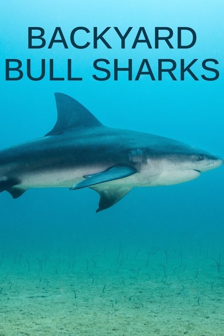 Poster of Backyard Bull Sharks