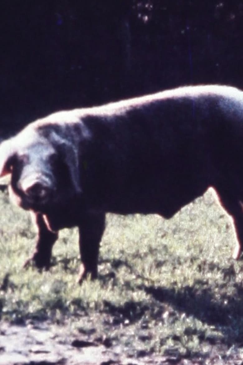 Poster of Schweineschnitzel