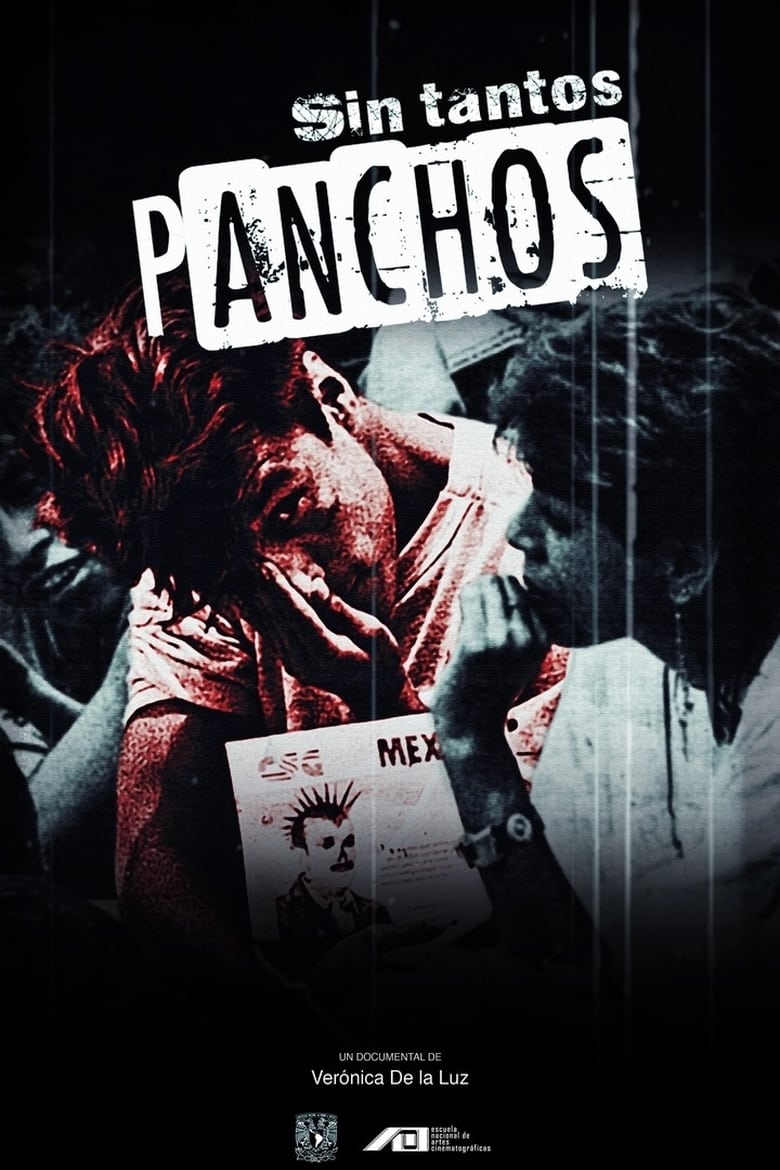 Poster of Sin tantos panchos