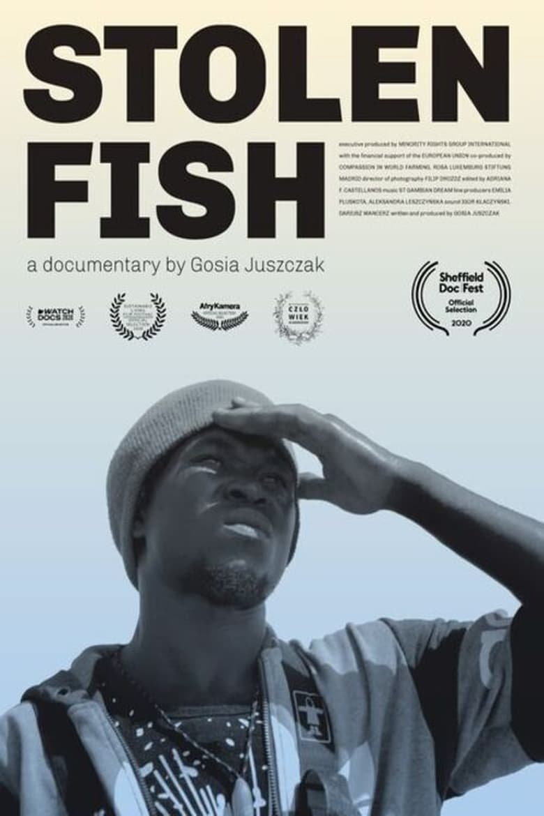 Poster of Stolen Fish