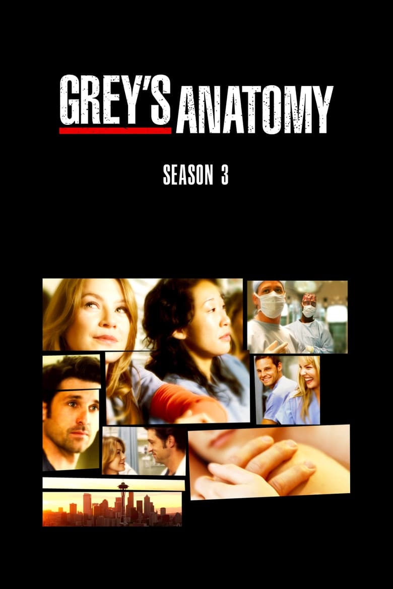 Poster of Episodes in Grey's Anatomy - Season 3 - Season 3