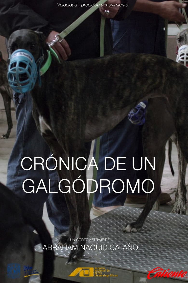 Poster of Crónica de un galgódromo