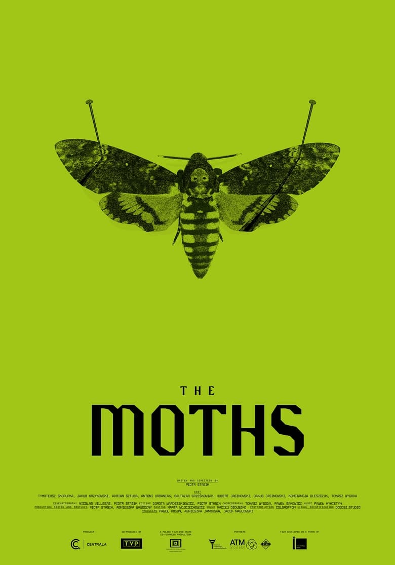 Poster of The Moths