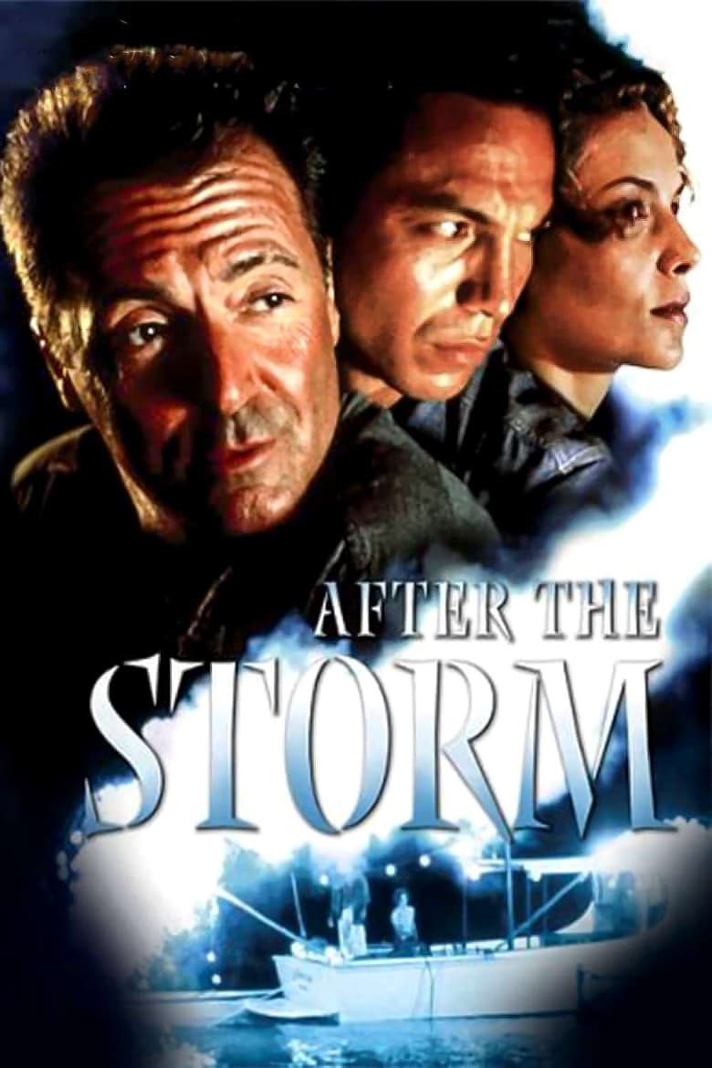 Poster of After the Storm