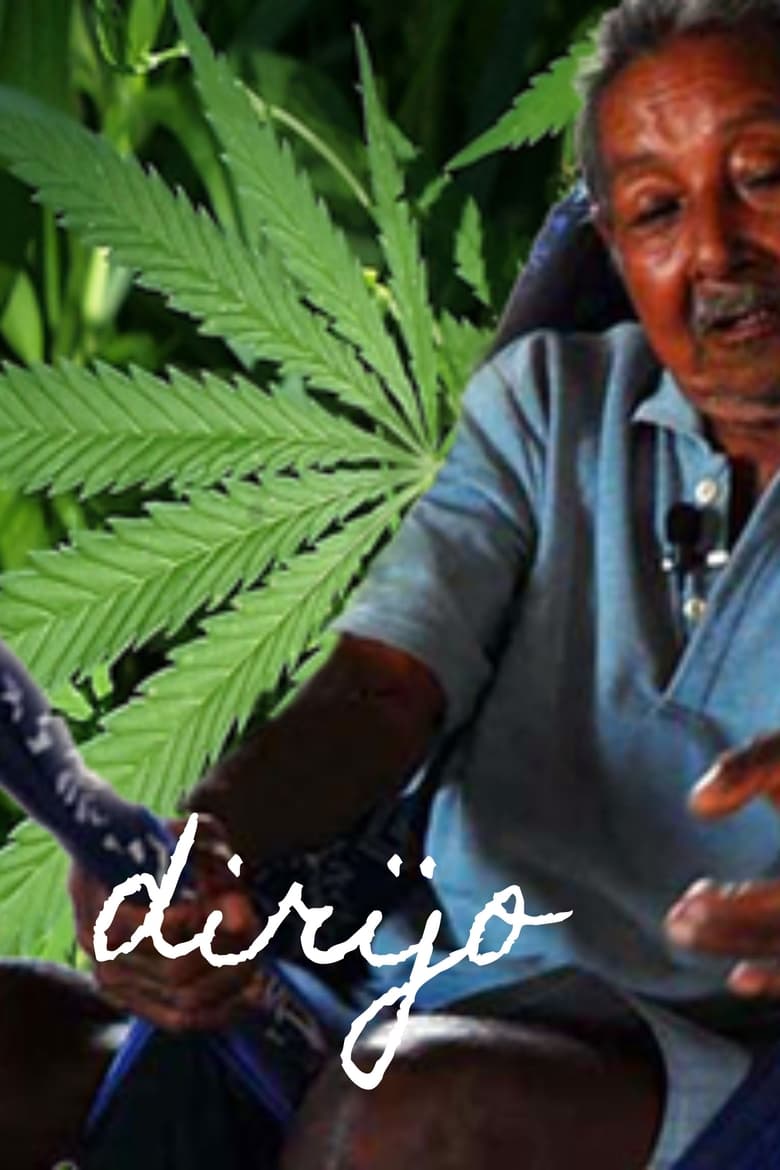 Poster of Dirijo