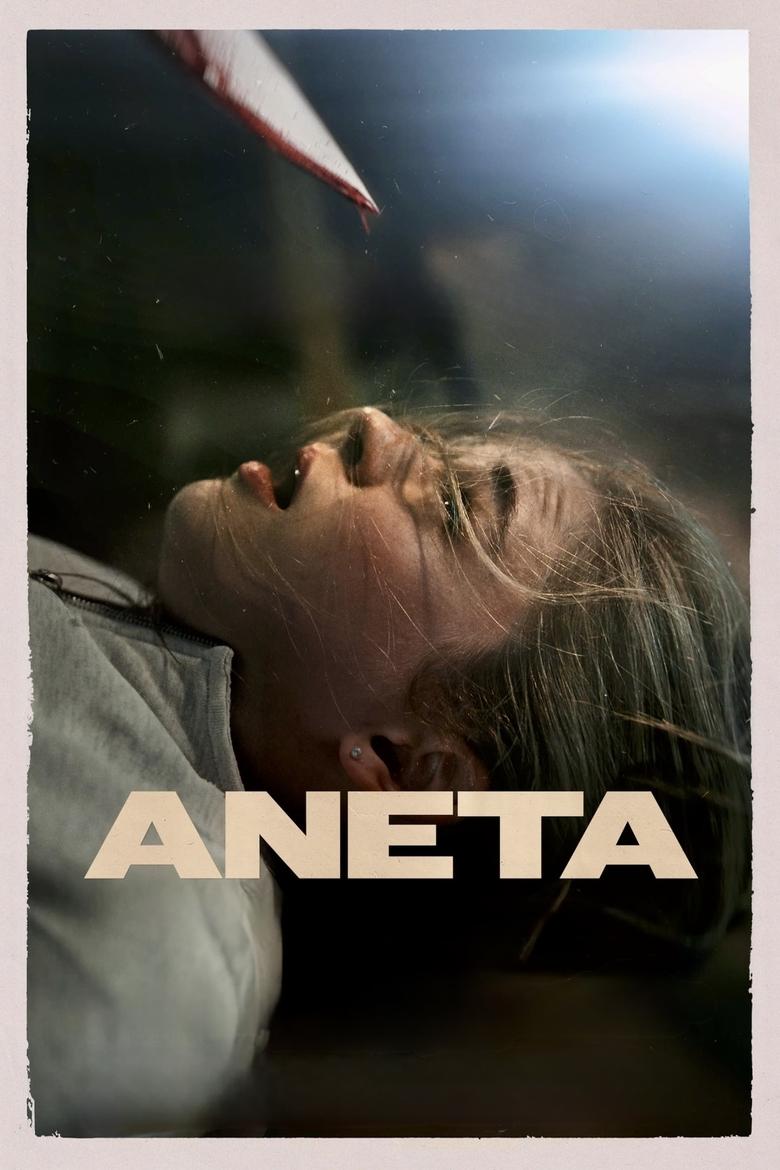 Poster of Aneta