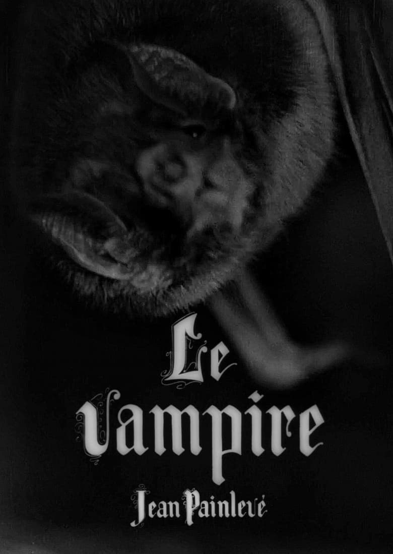 Poster of The Vampire