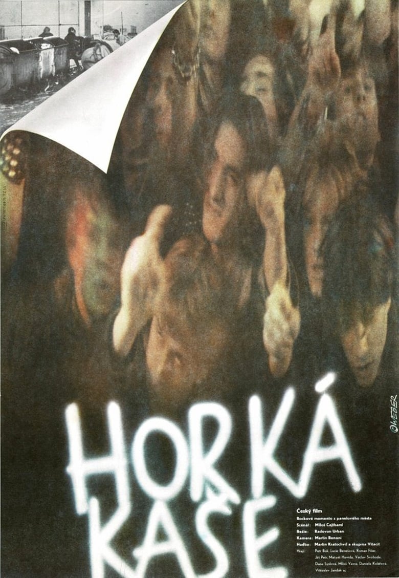 Poster of Horká kaše