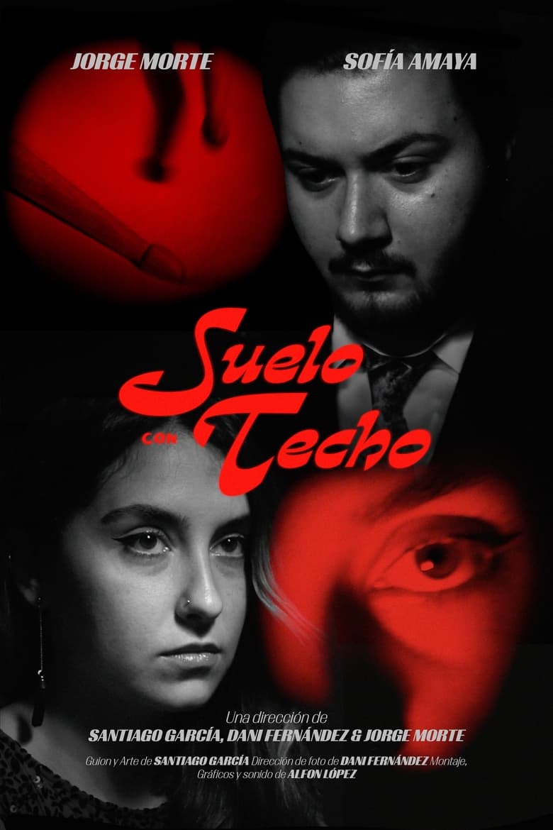 Poster of Suelo con techo