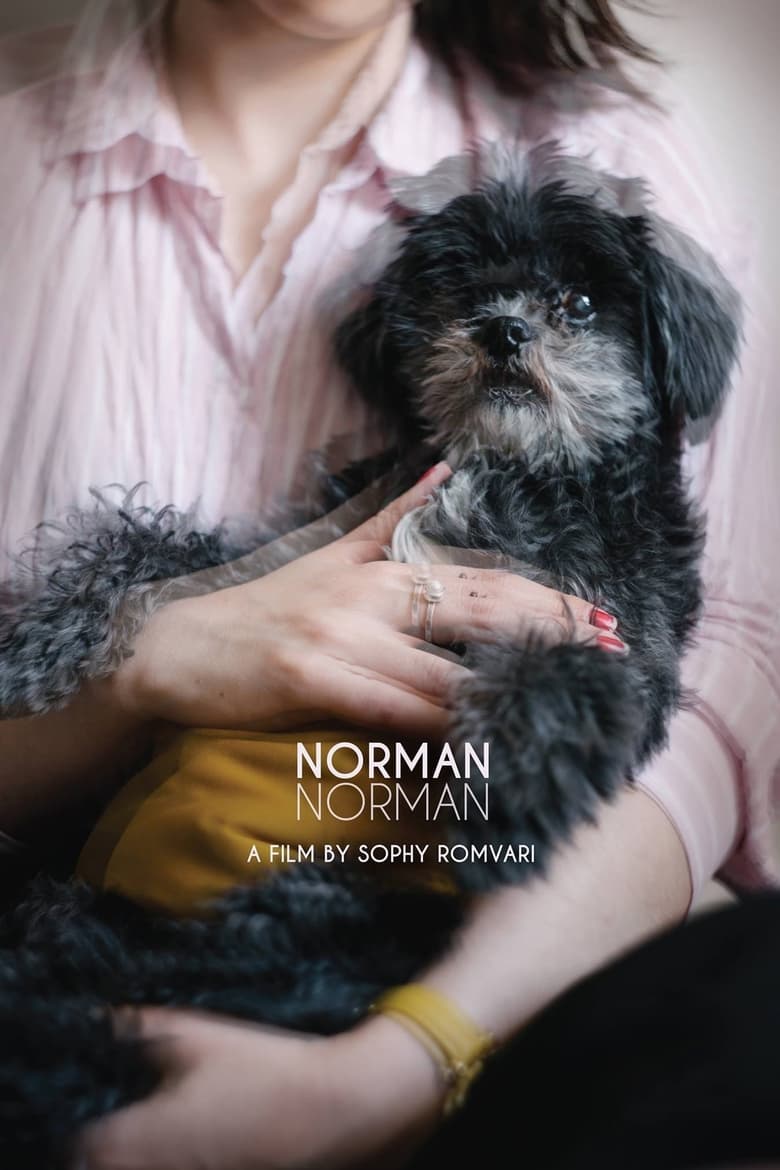 Poster of Norman Norman