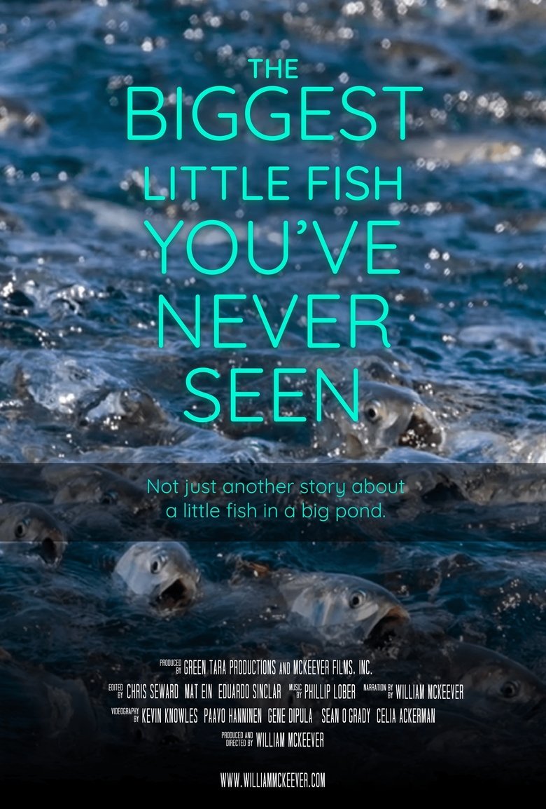 Poster of The Biggest Little Fish You've Never Seen