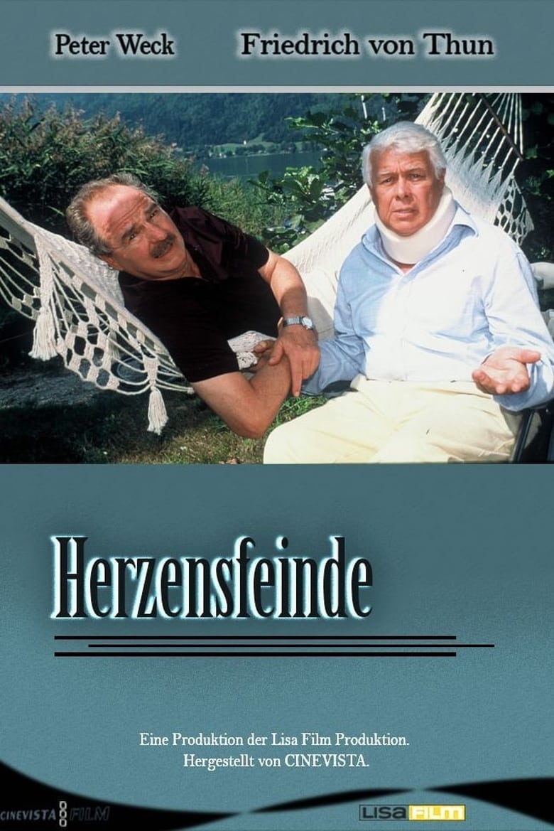 Poster of Herzensfeinde