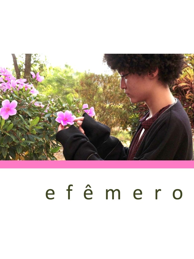 Poster of Efêmero