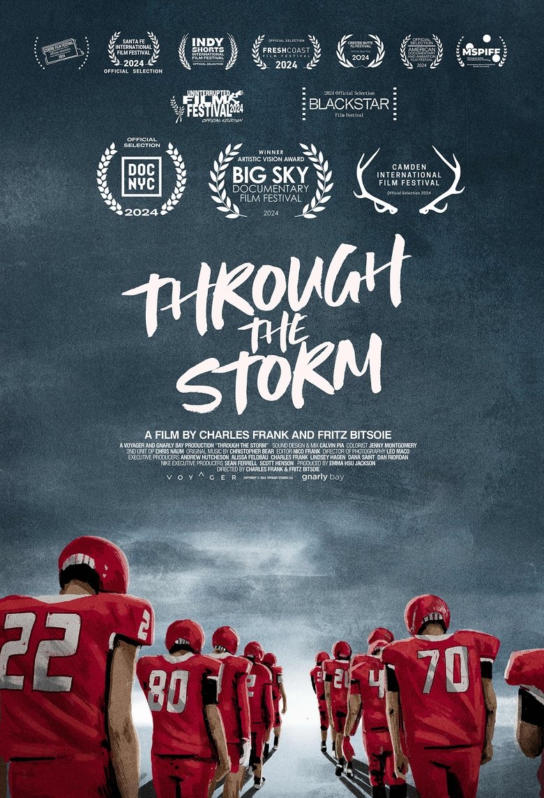 Poster of Through the Storm