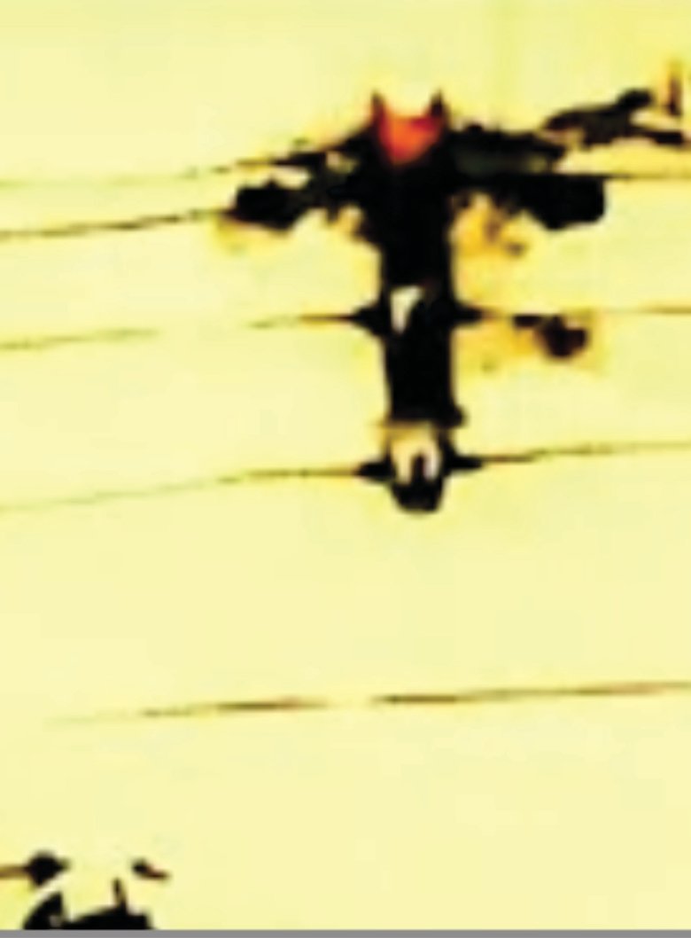 Poster of .520