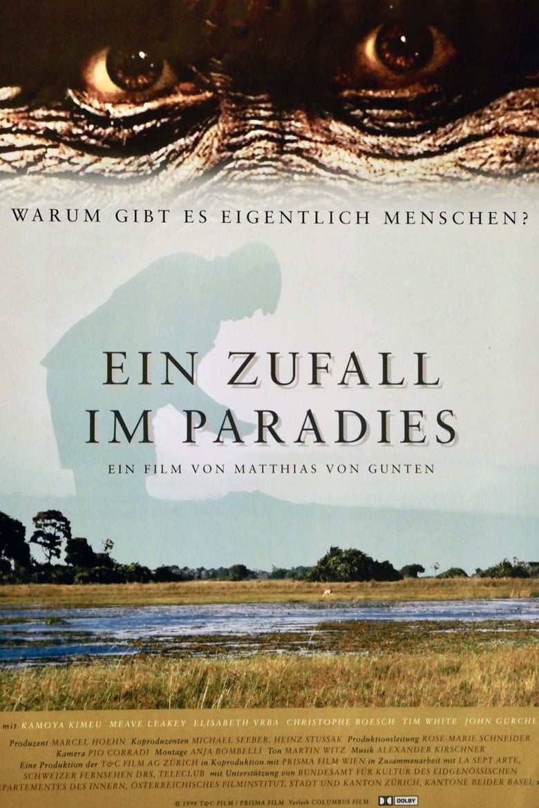 Poster of Ein Zufall im Paradies