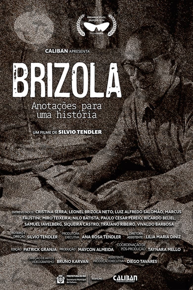 Poster of Brizola, Anotações para uma História