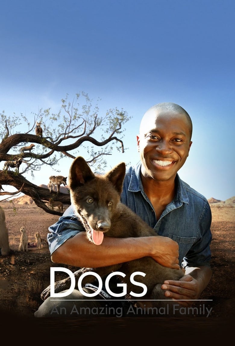 Poster of Episodes in Dogs  An Amazing Animal Family - Season 1 - Season 1